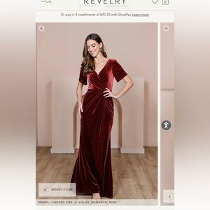 NWT Revelry Giselle Velvet dress - blush